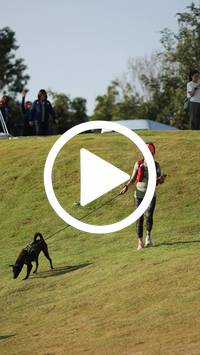 BIB:  <button type="button" onclick="openModal(27766835)" class="btn btn-primary btn-sm float-right" data-toggle="modal" data-target=".modal-high-quality">
                <i class="fa fa-download"></i> Download
                </button>